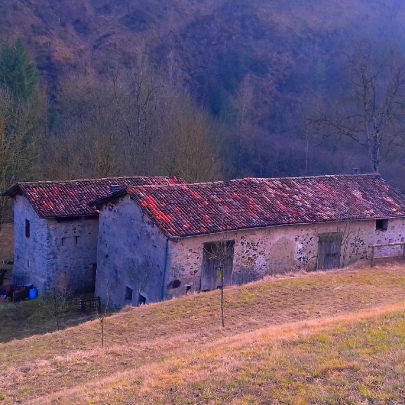 Immobile